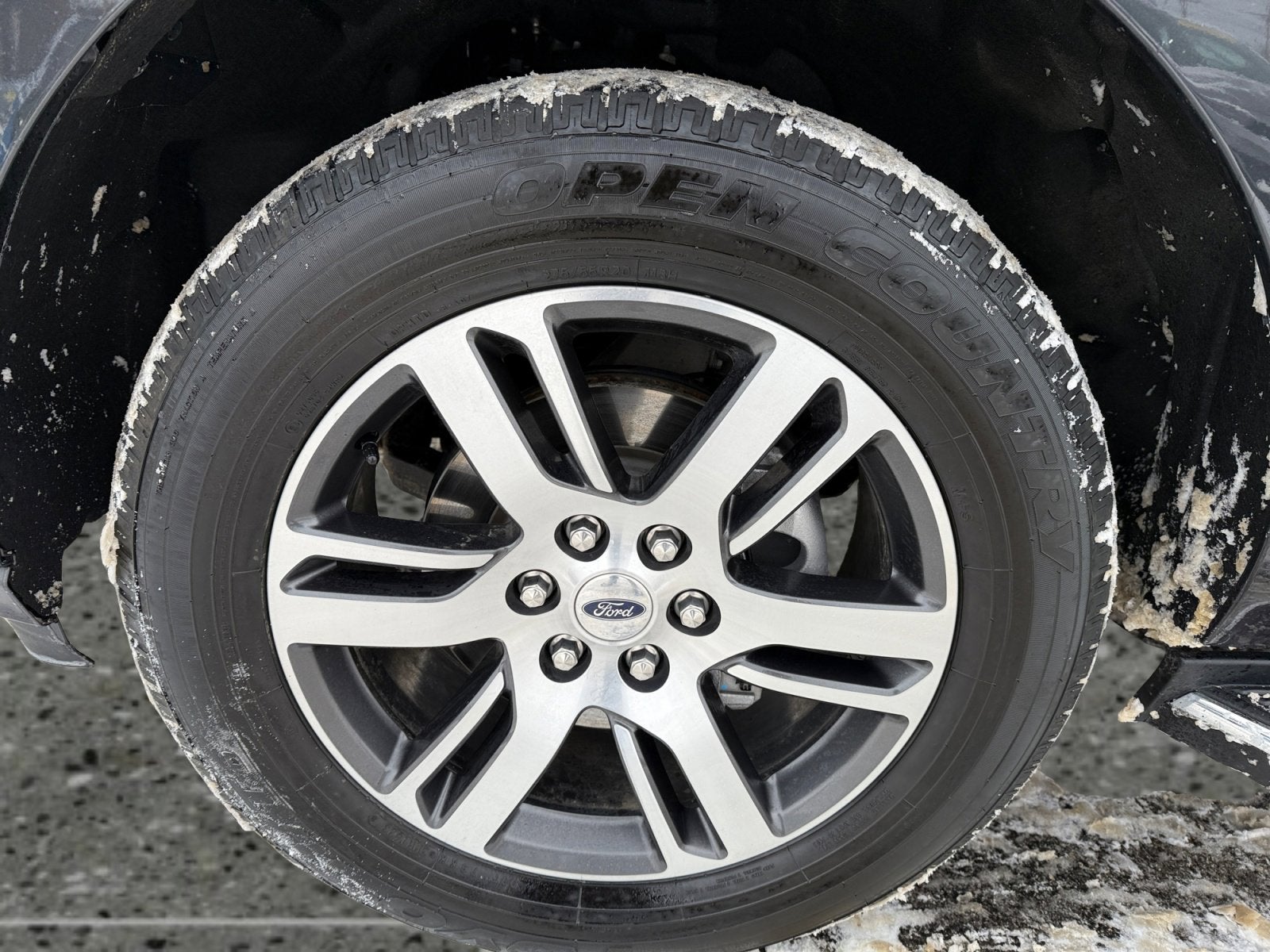 2023 Ford Expedition XLT