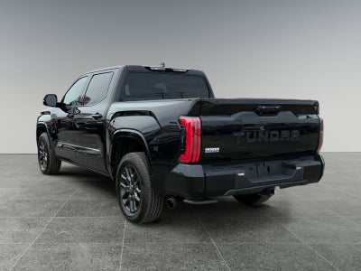 2025 Toyota Tundra 4WD Truck Platinum